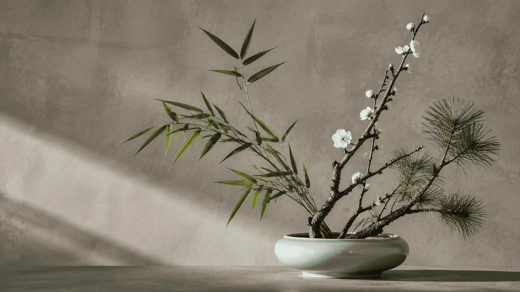 Pine, bamboo and flowering Chinese plum arranged as the Three Friends of Winter